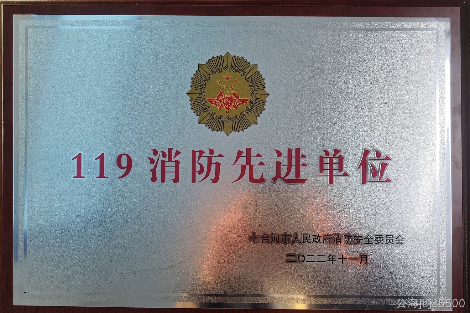 2022年被评七台河市“119消防先进单位”(图1)